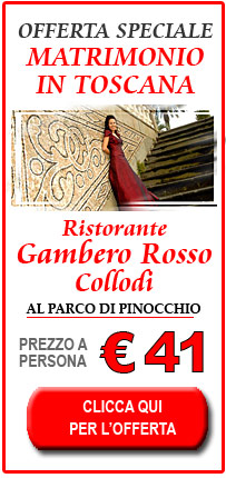 inserzione